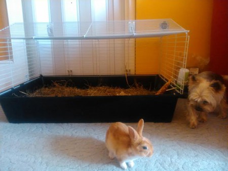 Luna és az Ő barátja